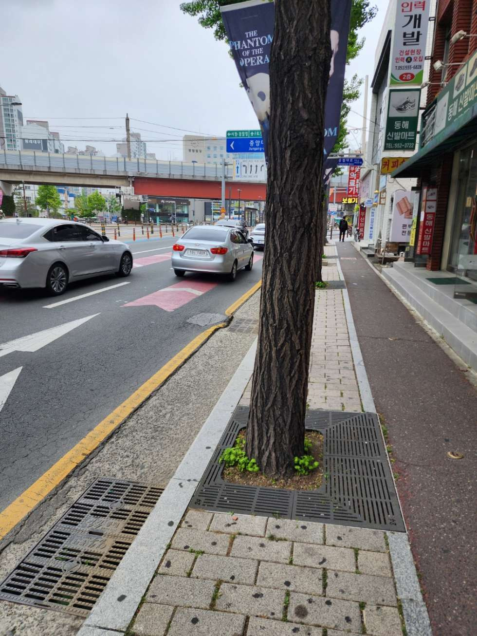 부산 동래구 명륜동 동래지하철 초역세권 무권리 1층 상가 임대 월세 매물번호 11348 사진 1
