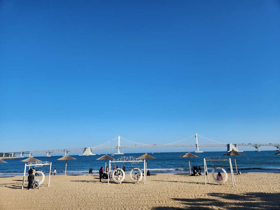 부산 수영구 광안동 광안리 유동인구 많은 도로면 코너 전면노출 좋음 실평수 40대 월세 매물번호 11039 사진 1