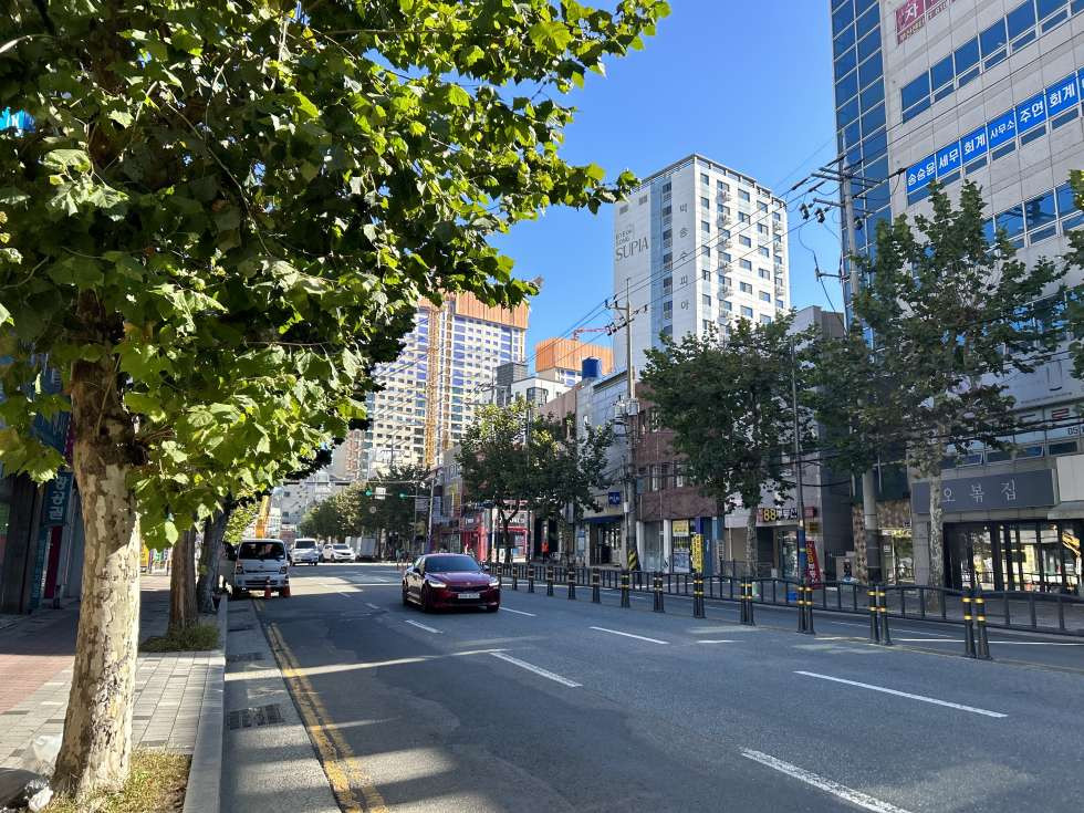 부산 부산진구 양정동 양정동 119안전센터 인근 대로변 1층 14평 뷰티샵/꽃집 추천 월세 매물번호 13697 사진 1