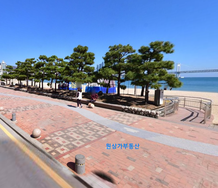 부산 수영구 광안동 광안리 해변가 5층 55평 상가임대 월세 매물번호 11816 사진 1