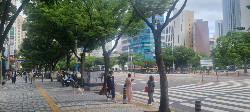 부산 동래구 사직동 204동 종합운동장 앞 대로변 1층 29평 고기집 시설 완비 월세 매물번호 15660 사진 1