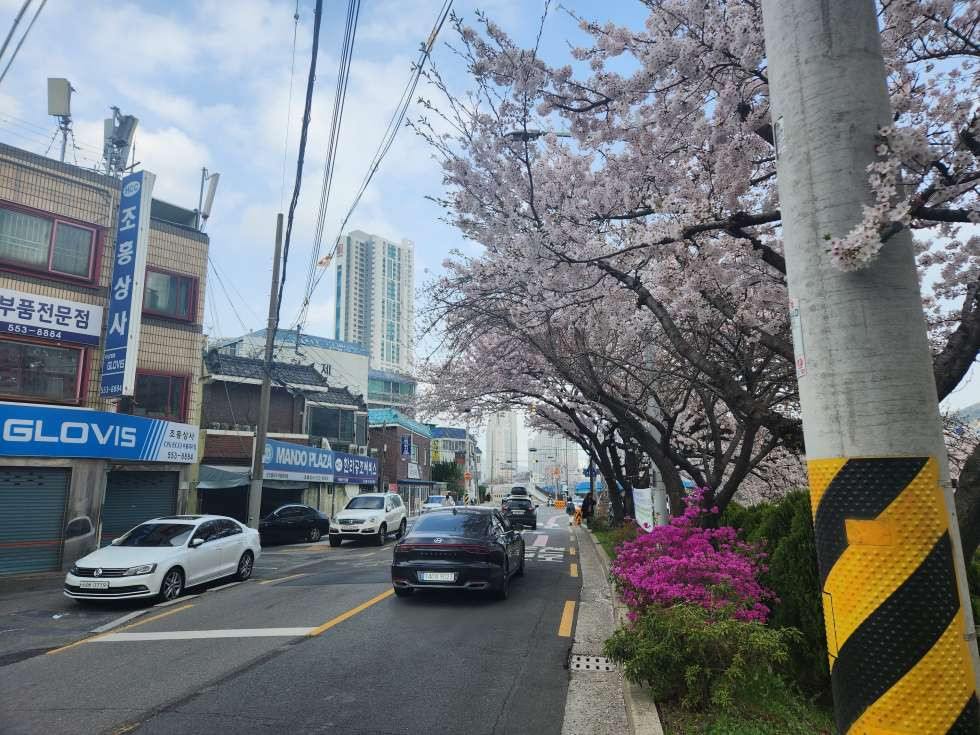 부산 동래구 수안동 수안동 핵심상권 중심 고기집, 식당 등 추천 약 23평 월세 매물번호 15857 사진 1